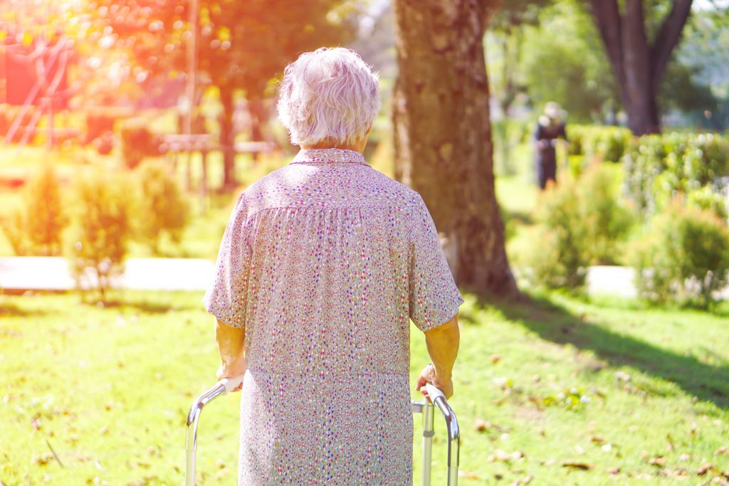 Patient Wandering system